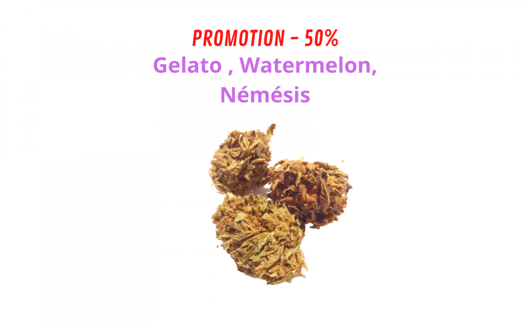 Promotion – 50 % sur Gelato , Watermelon, Némésis